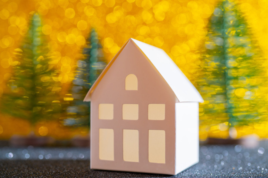 «После смерти отца остался дом. Могу я оформить на себя долю брата, если он никак не помогает его содержать?» Отвечает нотариус