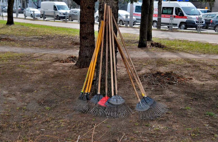 Субботник-добрая традиция