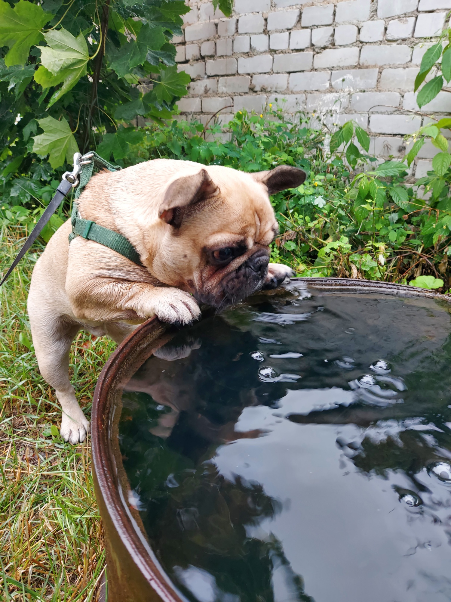 2022-07-12 18-23-16.JPG