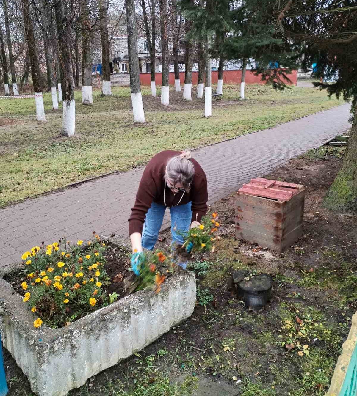 НК Костюковичского района.jpeg