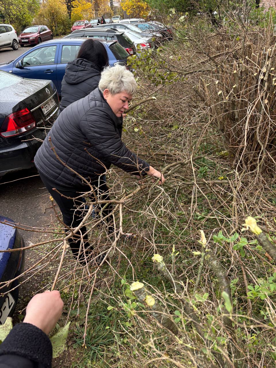 Фото IMG_20251025_133634_748.jpg