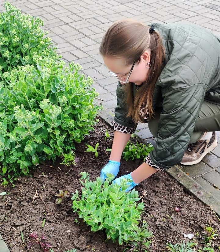 НК №2 Ленинского р-на Могилева.jpeg