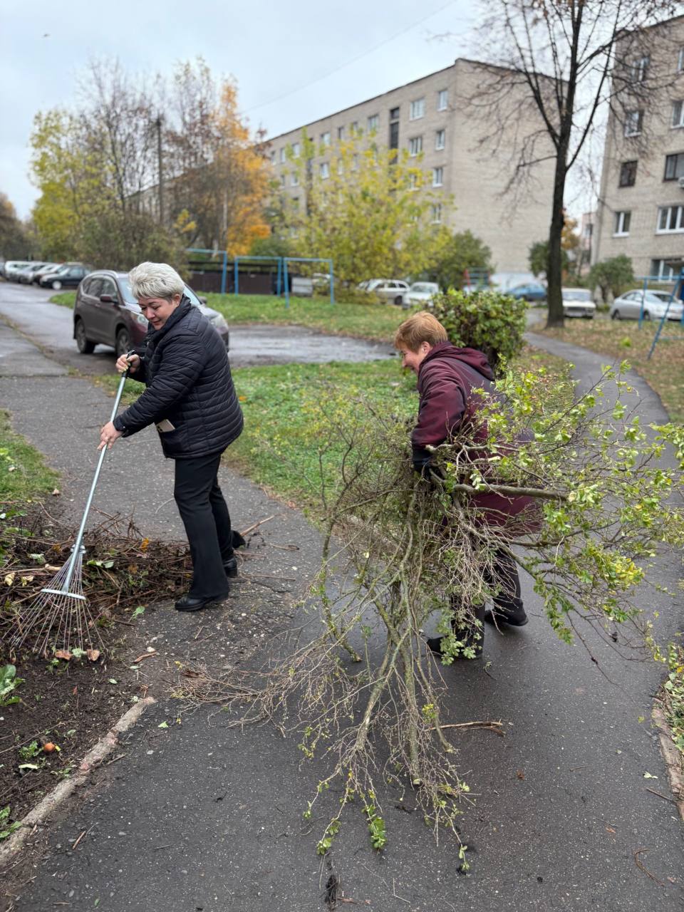 Фото IMG_20251025_133634_973.jpg