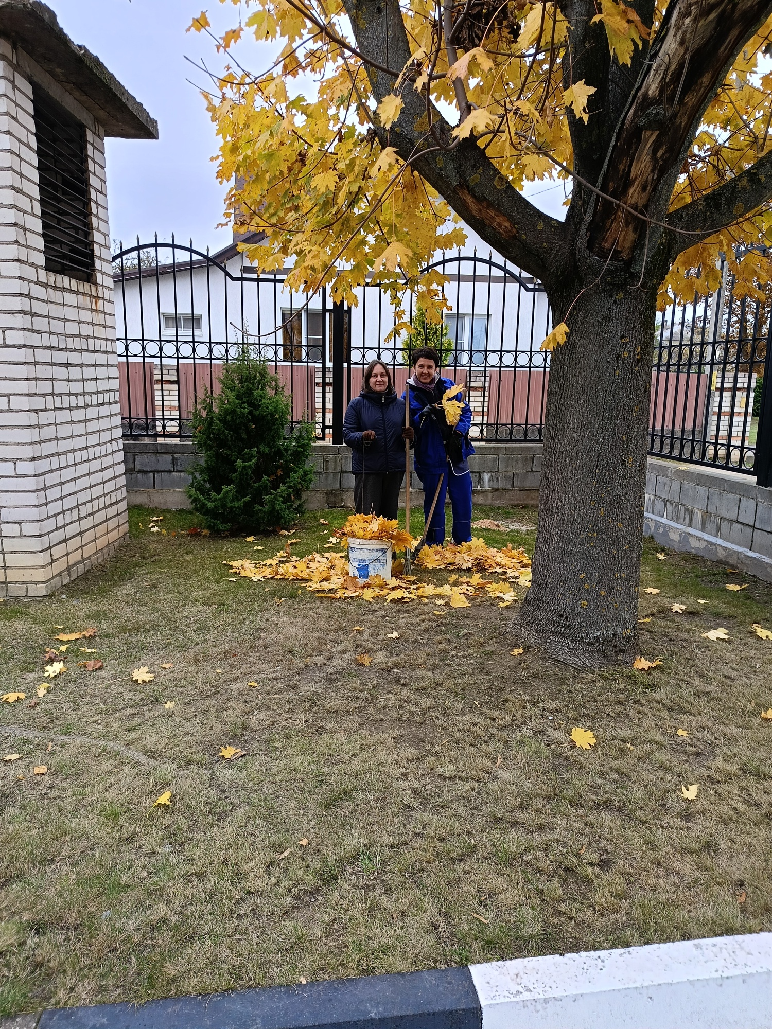 Фото IMG20251022111439.jpg