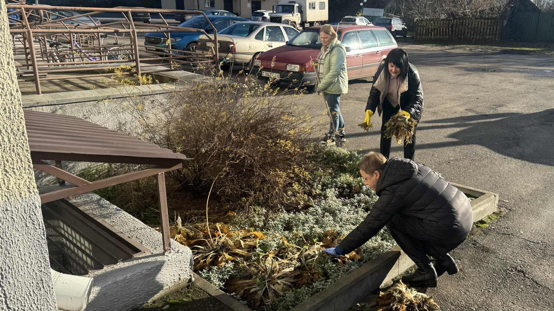 НК Быховского района.jpeg