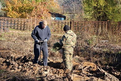 Представители нотариата присоединились к акции «Дай лесу новае жыццё!»