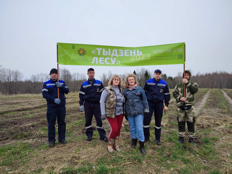 Коллектив нотариальной конторы Ушачского района присоединился к акции «Неделя леса»