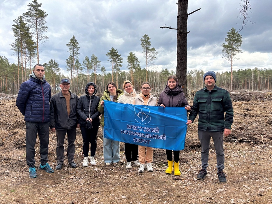 Нотариат Брестской области поддержал акцию по озеленению