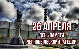 Бесплатные консультации в дистанционном формате ко Дню памяти Чернобыльской трагедии