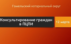 Консультирование граждан в ПЦПИ 
