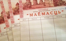 Вопросы обращения чеков «Имущество» разъясняет нотариус