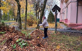 Чистый город – общее дело