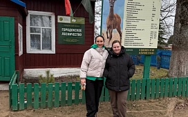 Посадим лес вместе