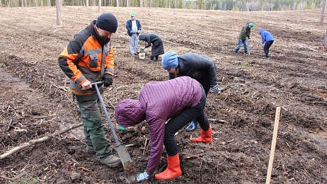 Представители БНП и нотариусы Минска приняли участие в акции «Неделя леса»