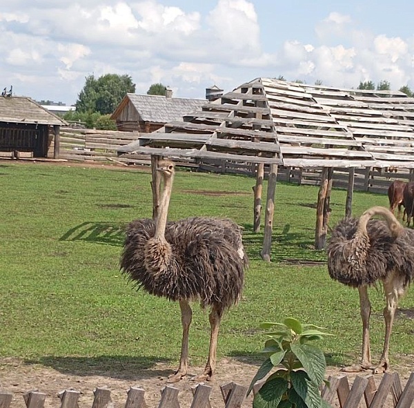 Зооландшафтный парк «Диприз» 