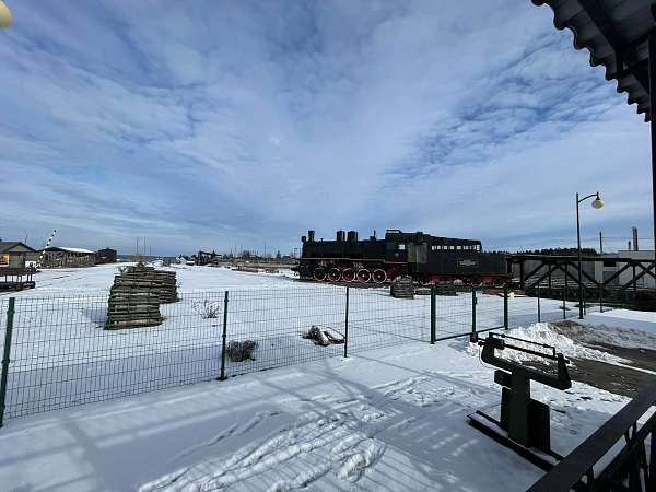 Участие в мероприятиях, приуроченных ко Дню защитников  отечества и Вооруженных Сил Республики Беларусь