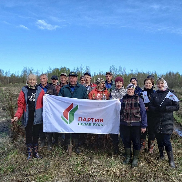 Посадили дерево: нотариусы Беларуси помогли обновить лесной фонд страны