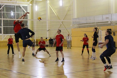 1-ый турнир по волейболу среди нотариусов прошел в Орше 