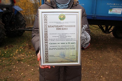 Наталья Борисенко: сохранить лес – наша общая задача