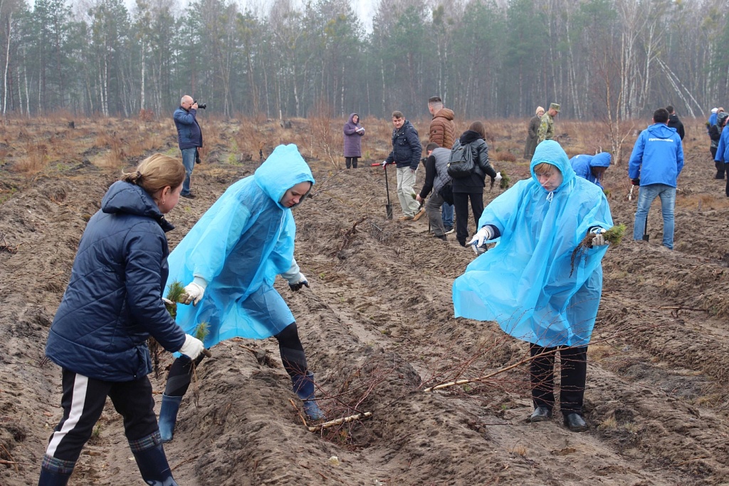 Нотариат Брестчины принял участие в акции «Неделя леса-2022»