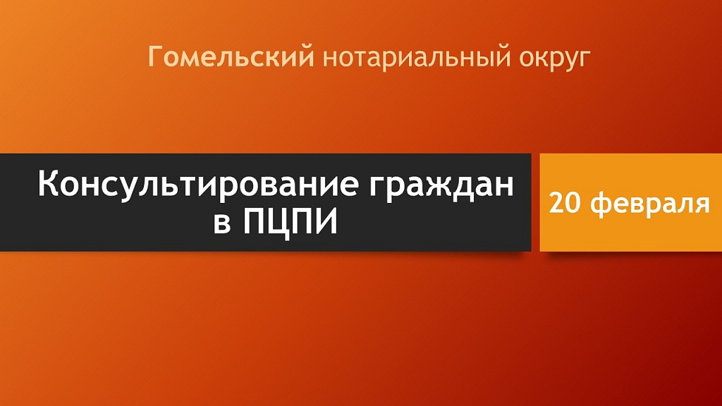 Консультирование граждан в ПЦПИ ко Дню Защитников Отечества и Вооруженных Сил Республики Беларусь