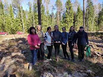 Посадили дерево: нотариусы Беларуси помогли обновить лесной фонд страны