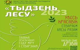 «Лесной десант 2023» Гомельского нотариального округа