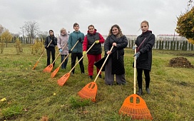 Могилевский нотариальный округ принял участие в Республиканском субботнике