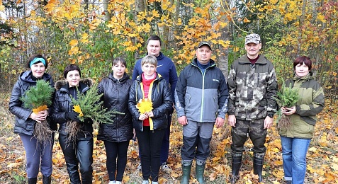 На Шарковщине прошла добровольная акция «Дай лесу новае жыццё!»