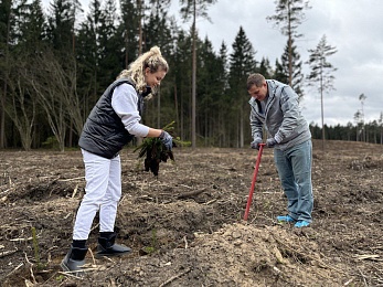 Посадили дерево: нотариусы Беларуси помогли обновить лесной фонд страны