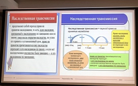 Вопросы наследства всегда актуальны