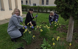 Весенняя генеральная уборка в Гомельском нотариальном округе 
