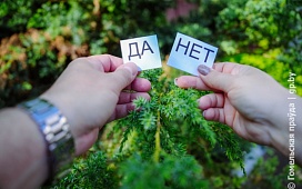 Восемь случаев, когда принятые однажды важные решения становятся неактуальными
