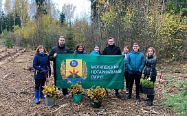 «Аднавім лясы разам!»:Могилевский нотариальный округ присоединился к акции по восстановлению лесов.