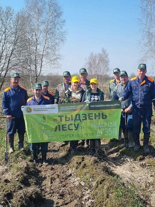 «Лесной десант 2023» Гомельского нотариального округа