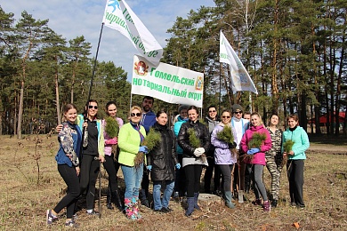 «Лесной десант 2022» Гомельского нотариального округа