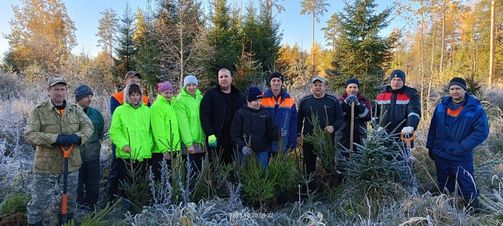 «Дай лесу новае жыццё!»