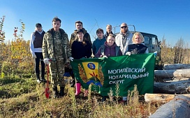 «Дай лесу новае жыццё!»: нотариальное сообщество Могилевщины восстанавливает зеленые богатства края